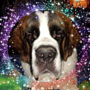 Meet your Posher, Kellee